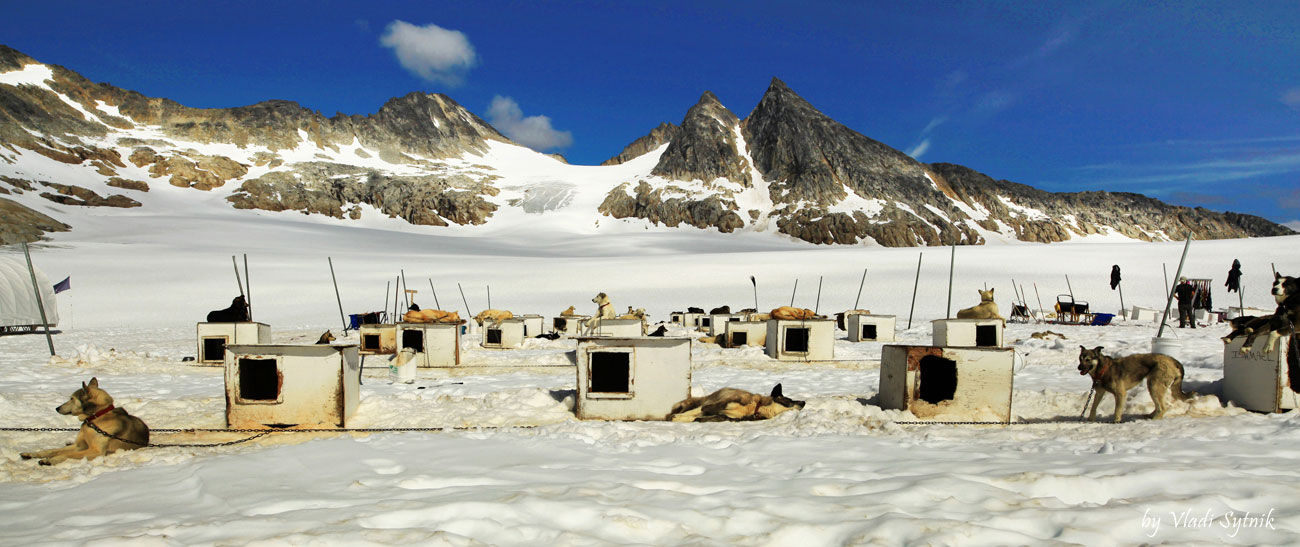 alaska-glacier-dog-camp-3