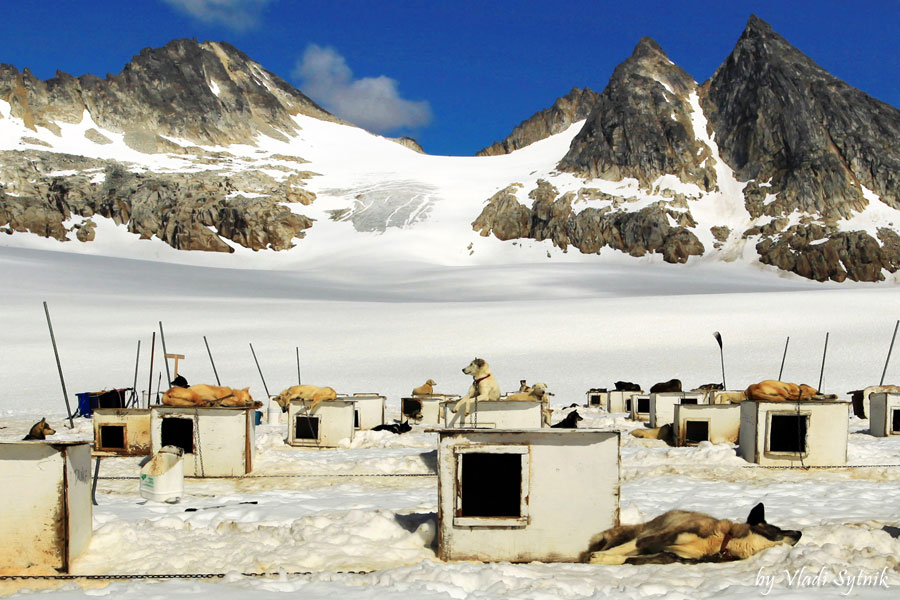 alaska-glacier-dog-camp-4