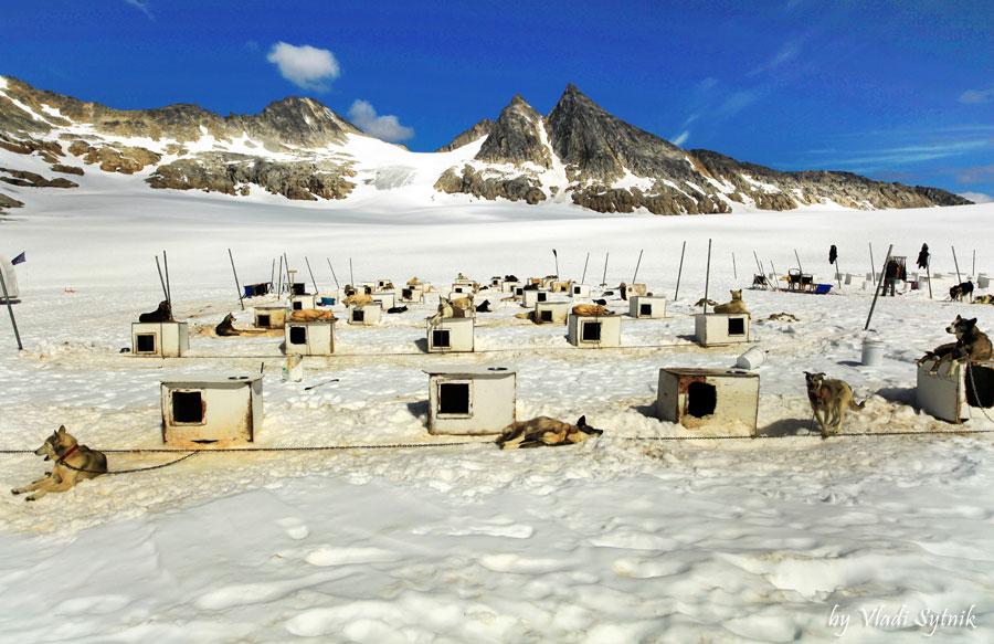 alaska-glacier-dog-camp-5