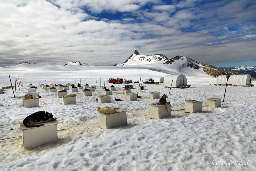 alaska-glacier-dog-camp-6