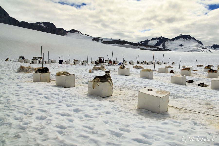 alaska-glacier-dog-camp-7