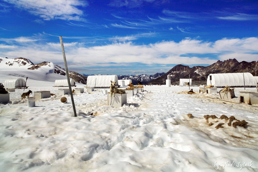alaska-glacier-dog-camp-9