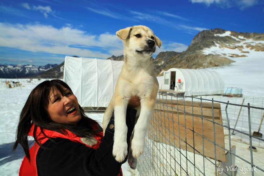dog-view-husky-puppy-love-1