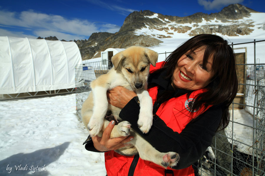 dog-view-husky-puppy-love-4
