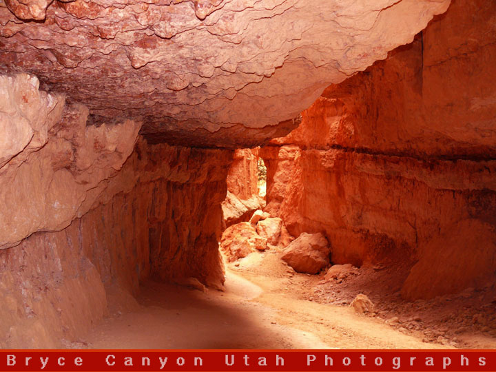 Bryce Canyon Tours