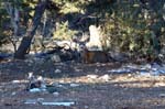 grand-canyon-winter-(05)