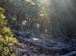 grand-canyon-winter-(11)