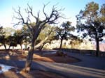 grand-canyon-winter-(36)
