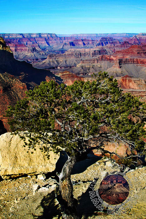 Grand-Canyon-Arizona