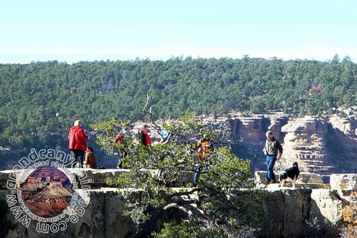 Grand-Canyon-Arizona