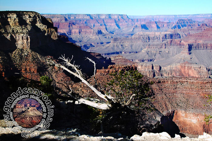 Grand-Canyon-Arizona