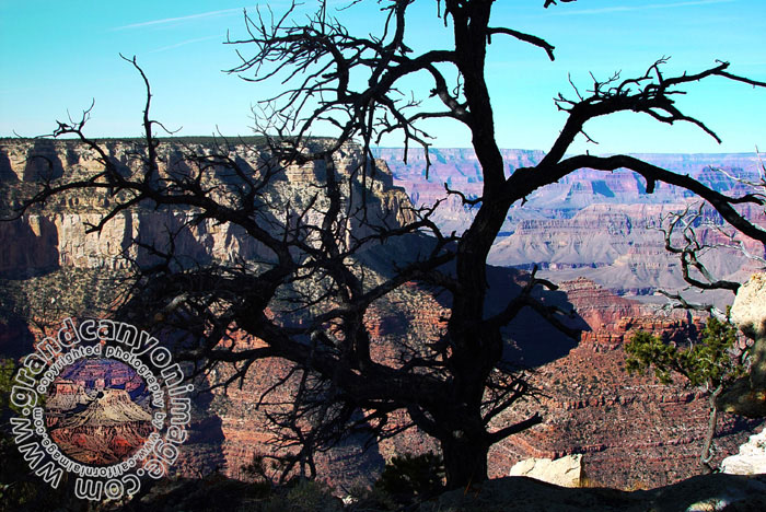 Grand-Canyon-Arizona