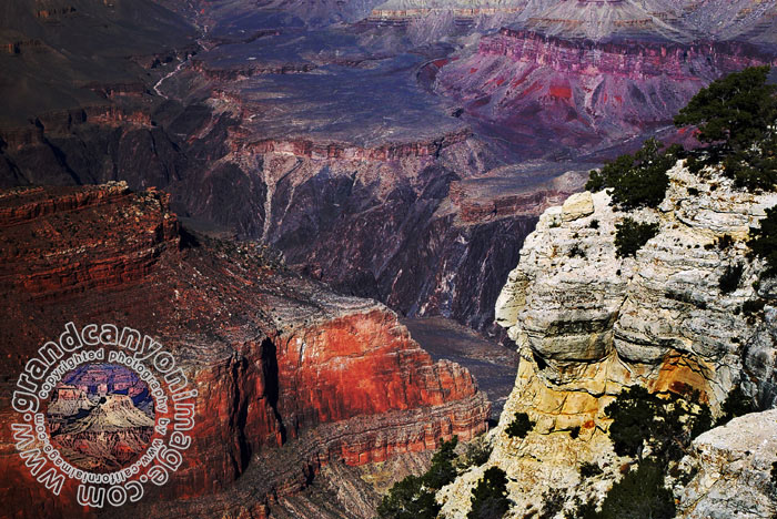 Grand-Canyon-Arizona