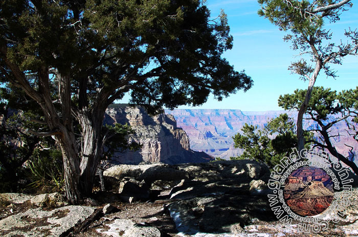 Grand-Canyon-Arizona