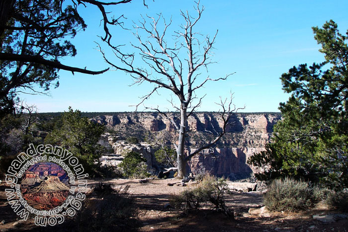 Grand-Canyon-Arizona
