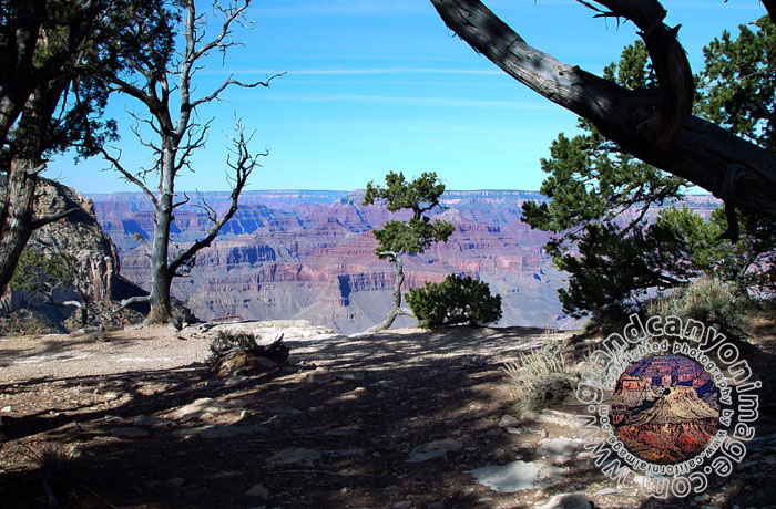 Grand-Canyon-Arizona