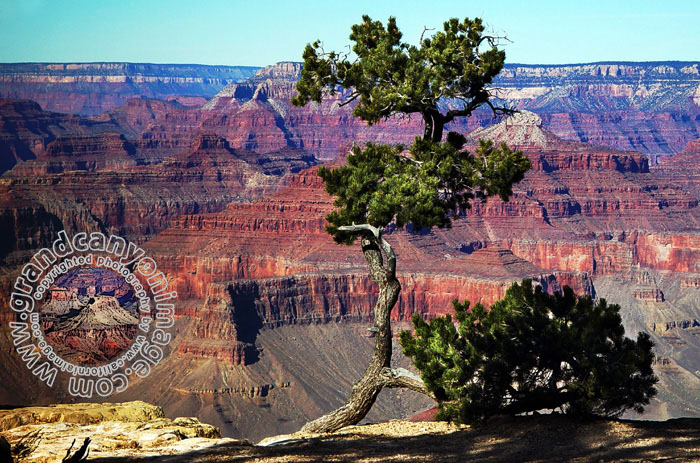 Grand-Canyon-Arizona