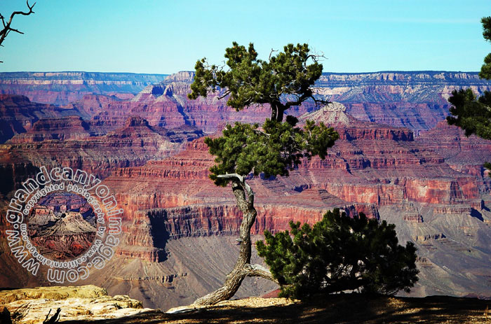 Grand-Canyon-Arizona