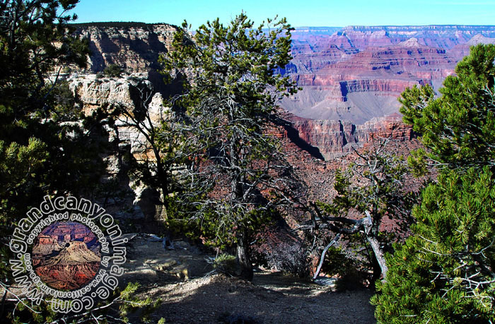 Grand-Canyon-Arizona