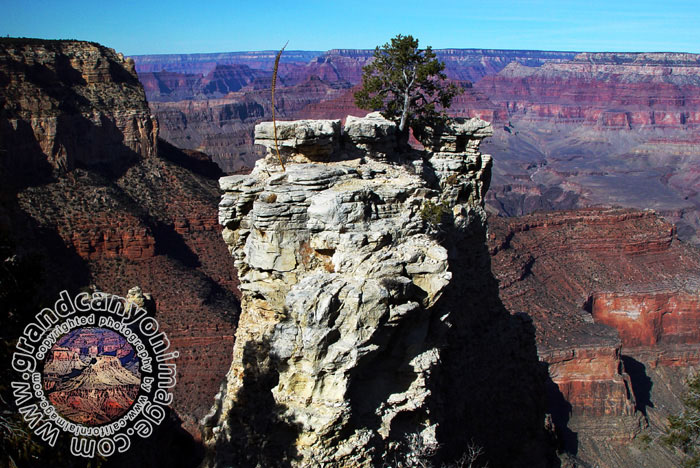 Grand-Canyon-Arizona