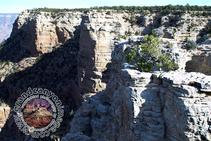 Grand-Canyon-Arizona