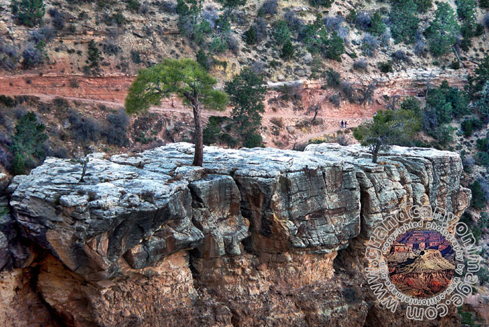 Grand-Canyon-Arizona