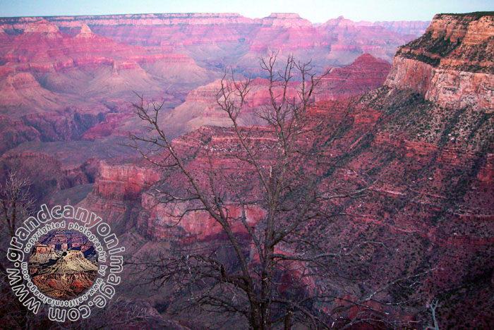 Grand-Canyon-Arizona