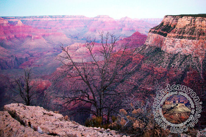 Grand-Canyon-Arizona