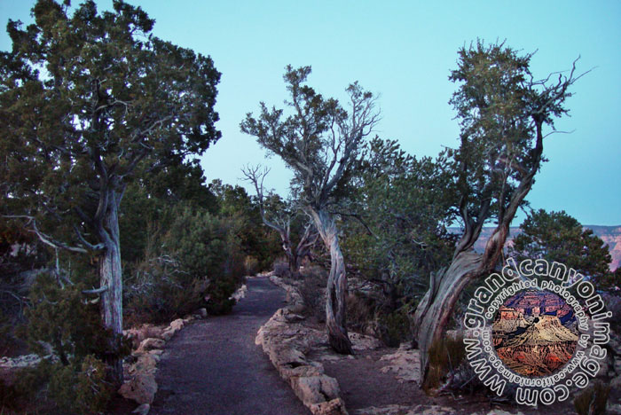 Grand-Canyon-Arizona