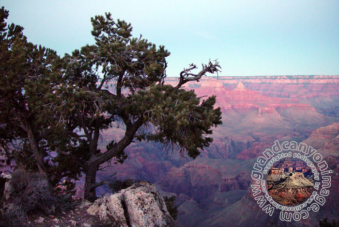 Grand-Canyon-Arizona