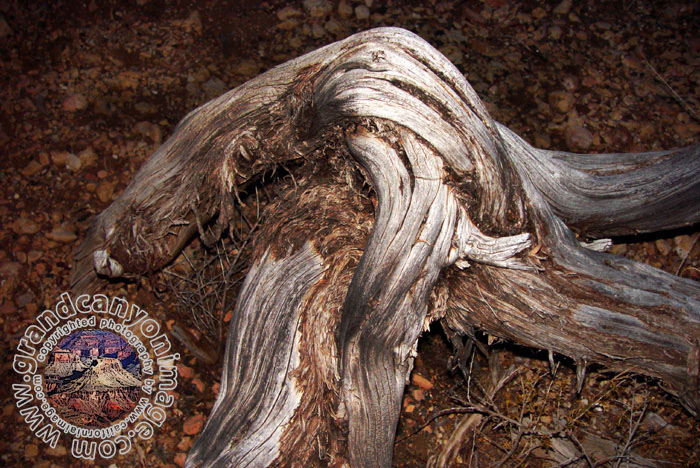 Grand-Canyon-Arizona