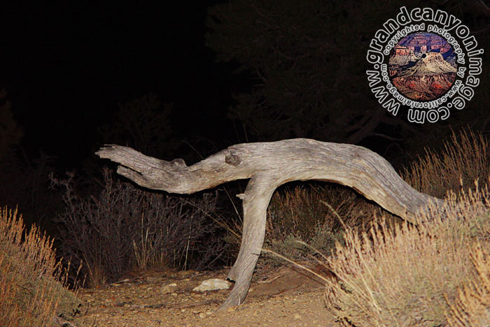 Grand-Canyon-Arizona