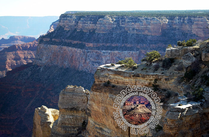 Grand-Canyon-Arizona