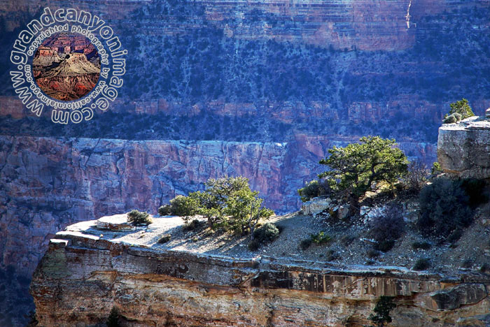 Grand-Canyon-Arizona