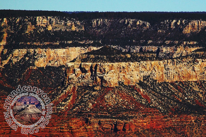 Grand-Canyon-Arizona