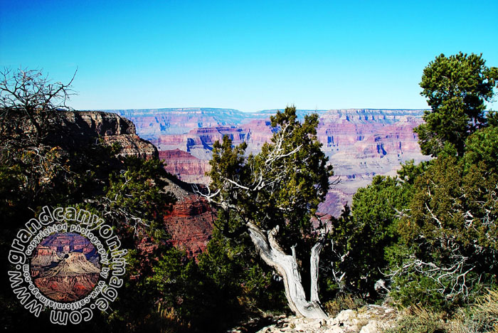 Grand-Canyon-Arizona