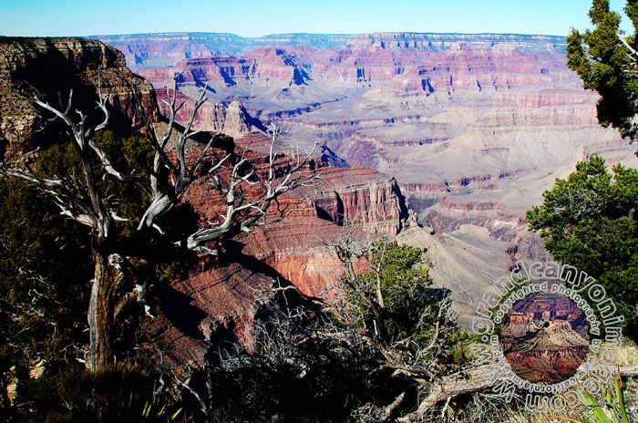 Grand-Canyon-Arizona