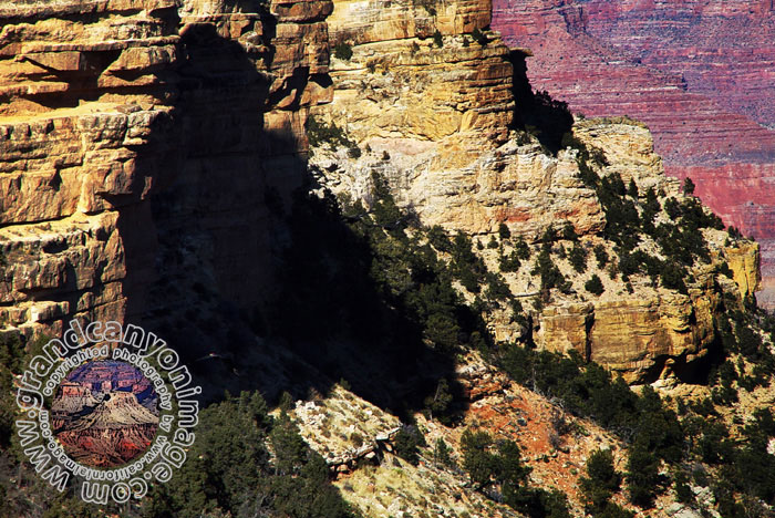 Grand-Canyon-Arizona