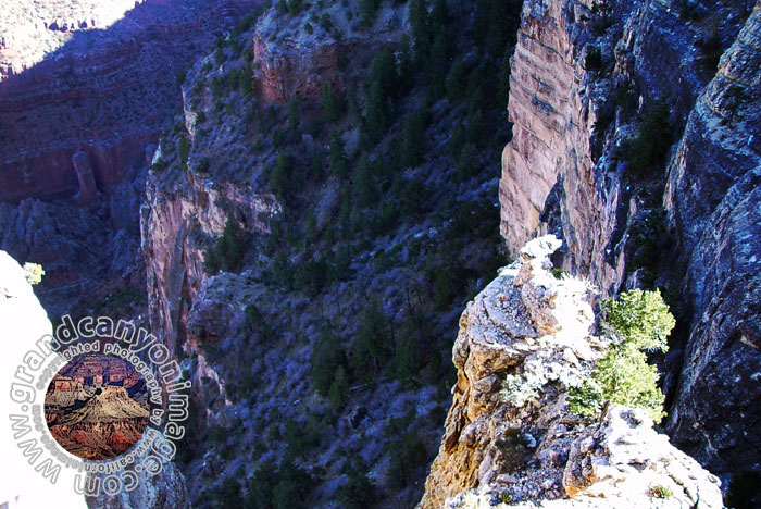 Grand-Canyon-Arizona