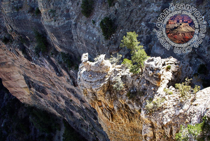 Grand-Canyon-Arizona