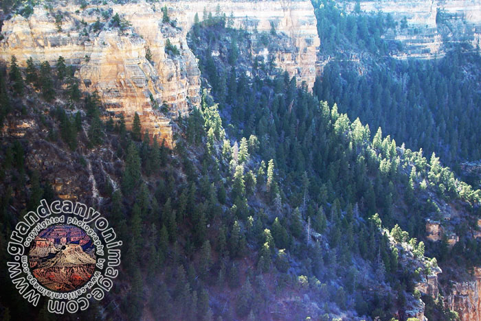 Grand-Canyon-Arizona