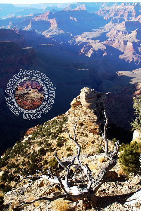 Grand-Canyon-Arizona