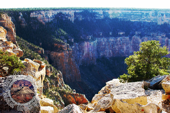 Grand-Canyon-Arizona