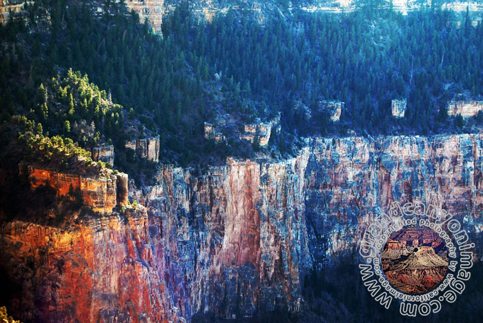 Grand-Canyon-Arizona