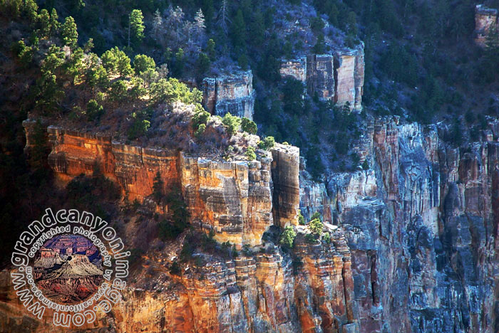 Grand-Canyon-Arizona