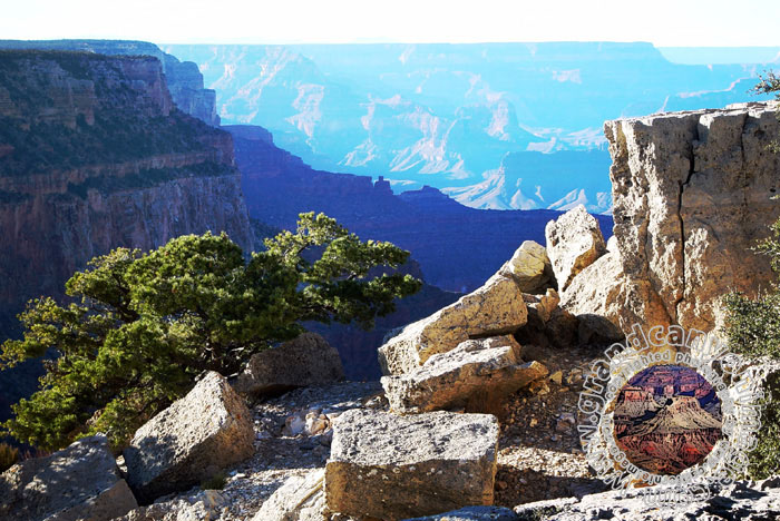 Grand-Canyon-Arizona