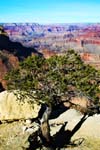 Grand-Canyon-Arizona