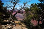Grand-Canyon-Arizona