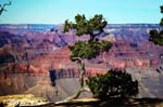 Grand-Canyon-Arizona