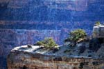 Grand-Canyon-Arizona